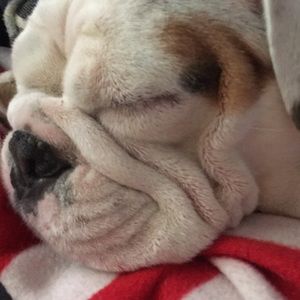 Meet your Posher, Ari